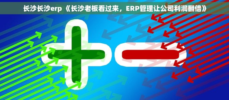 长沙长沙erp 《长沙老板看过来，ERP管理让公司利润翻倍》