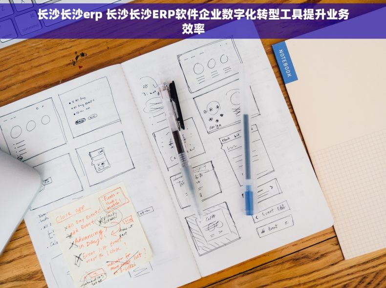 长沙长沙erp 长沙长沙ERP软件企业数字化转型工具提升业务效率