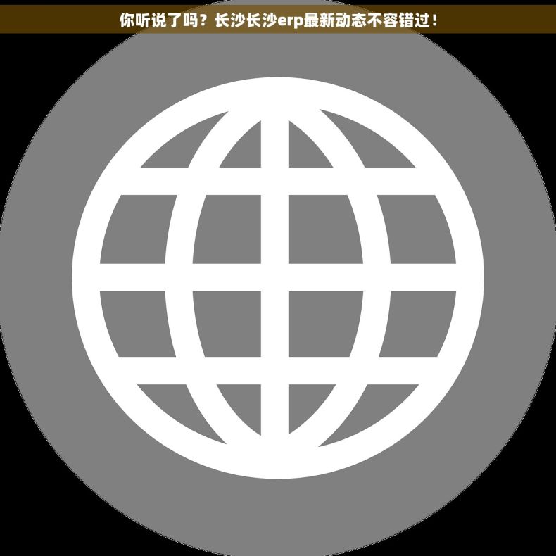 你听说了吗？长沙长沙erp最新动态不容错过！