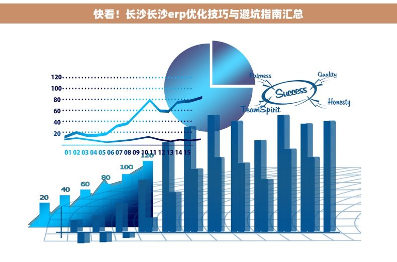 快看！长沙长沙erp优化技巧与避坑指南汇总