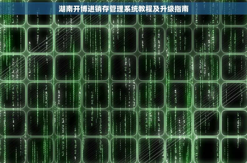 湖南开博进销存管理系统教程及升级指南