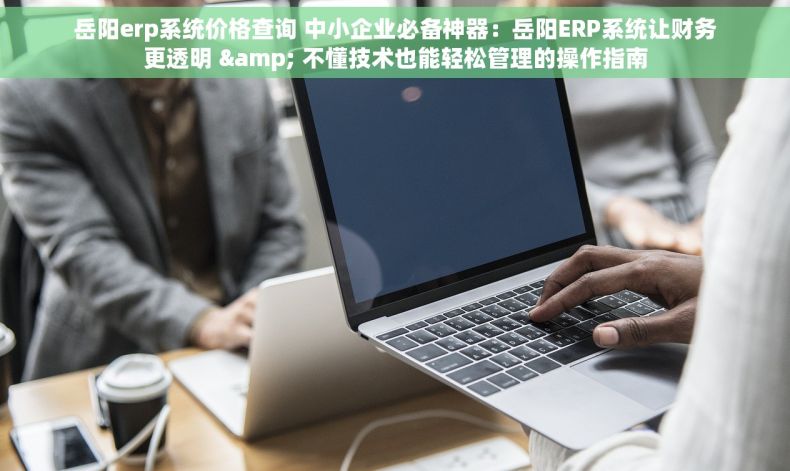 岳阳erp系统价格查询 中小企业必备神器：岳阳ERP系统让财务更透明 & 不懂技术也能轻松管理的操作指南