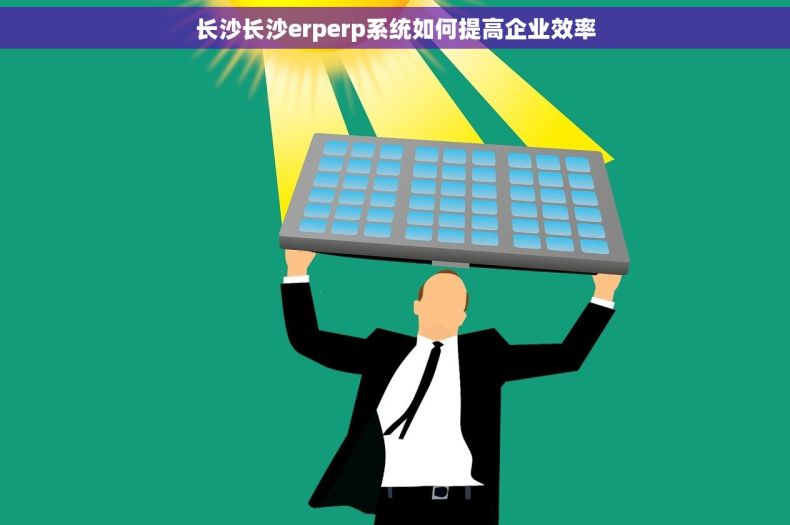 长沙长沙erperp系统如何提高企业效率