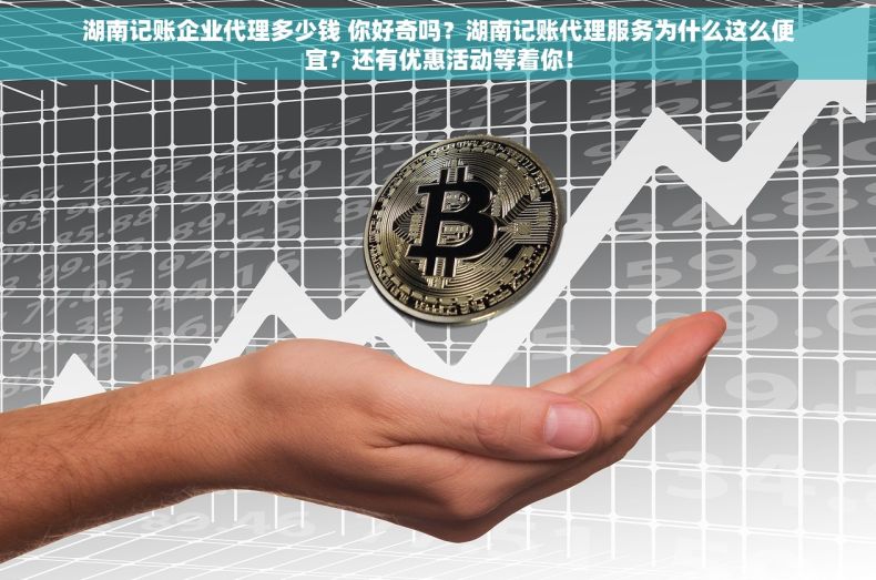 湖南记账企业代理多少钱 你好奇吗？湖南记账代理服务为什么这么便宜？还有优惠活动等着你！