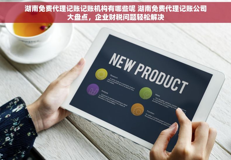 湖南免费代理记账记账机构有哪些呢 湖南免费代理记账公司大盘点，企业财税问题轻松解决