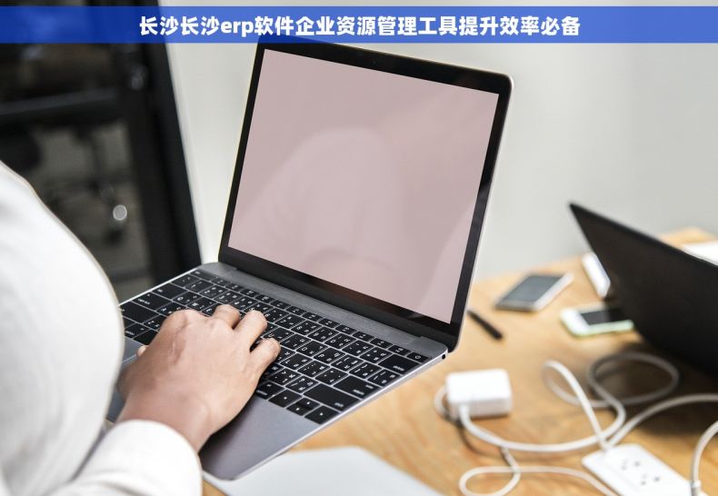 长沙长沙erp软件企业资源管理工具提升效率必备