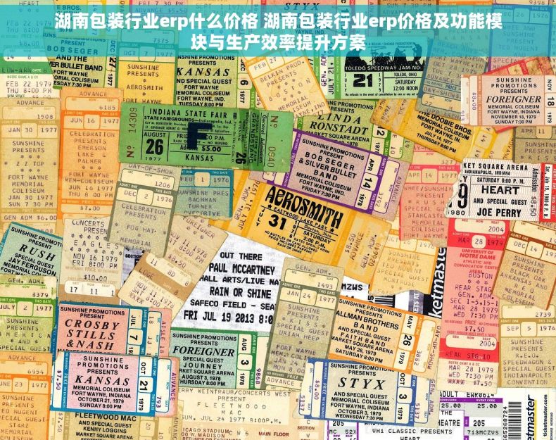 湖南包装行业erp什么价格 湖南包装行业erp价格及功能模块与生产效率提升方案