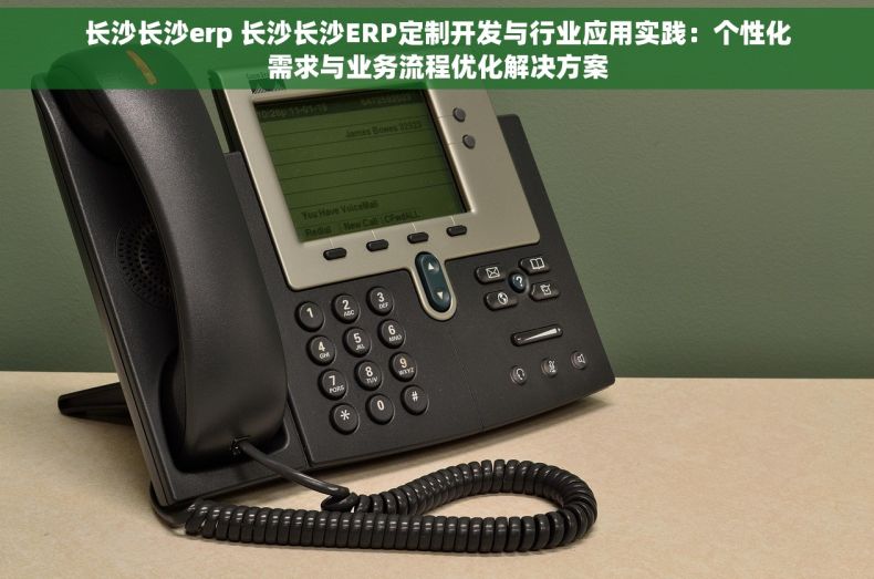 长沙长沙erp 长沙长沙ERP定制开发与行业应用实践：个性化需求与业务流程优化解决方案