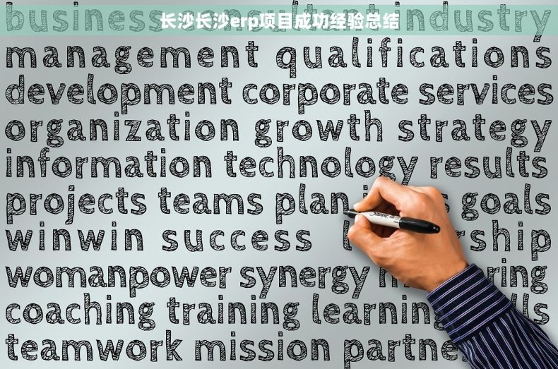长沙长沙erp项目成功经验总结