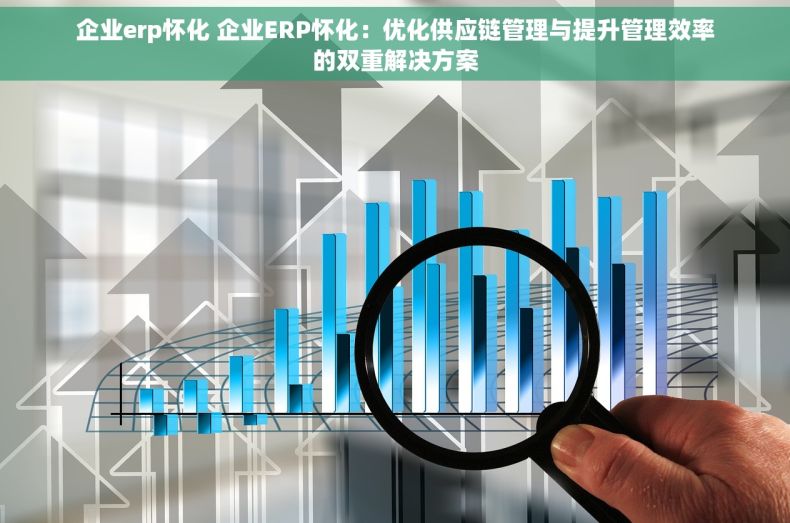 企业erp怀化 企业ERP怀化：优化供应链管理与提升管理效率的双重解决方案