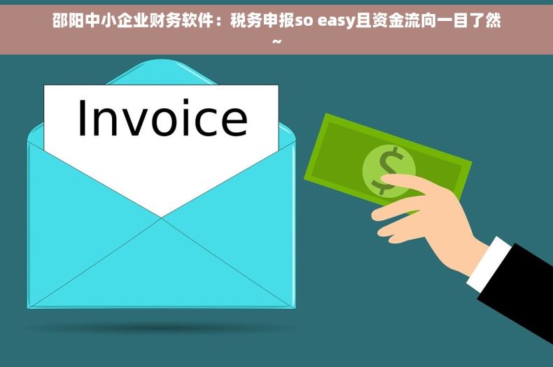 邵阳中小企业财务软件：税务申报so easy且资金流向一目了然~