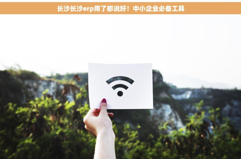 长沙长沙erp用了都说好！中小企业必备工具
