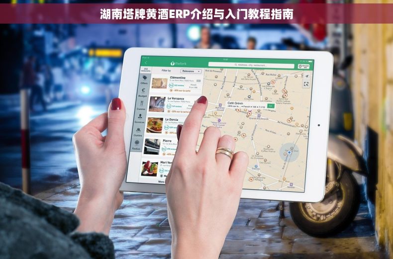 湖南塔牌黄酒ERP介绍与入门教程指南