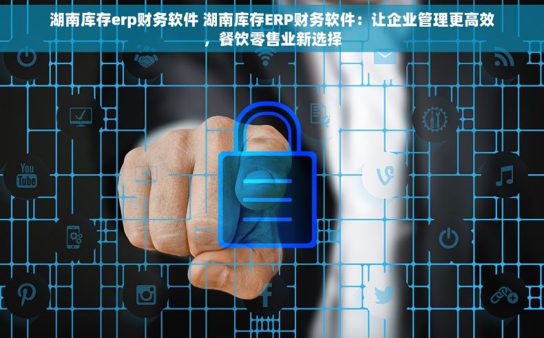 湖南库存erp财务软件 湖南库存ERP财务软件：让企业管理更高效，餐饮零售业新选择