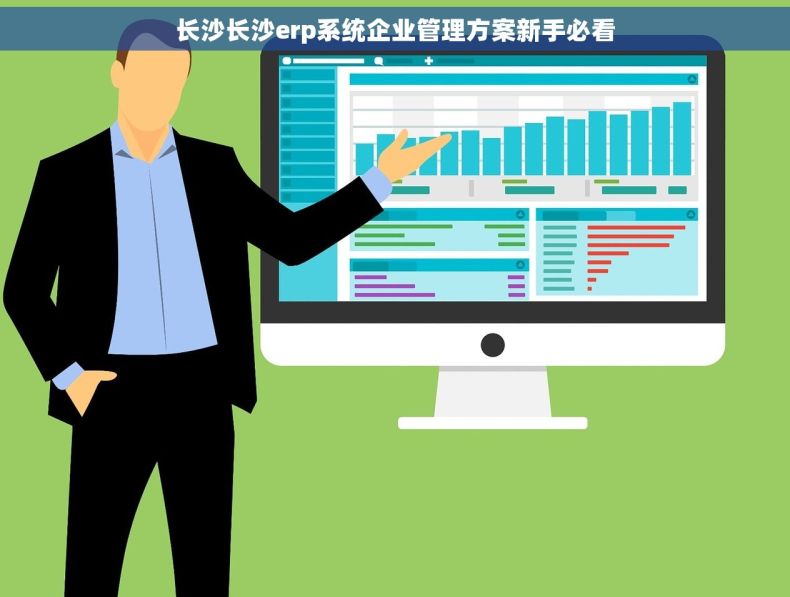 长沙长沙erp系统企业管理方案新手必看