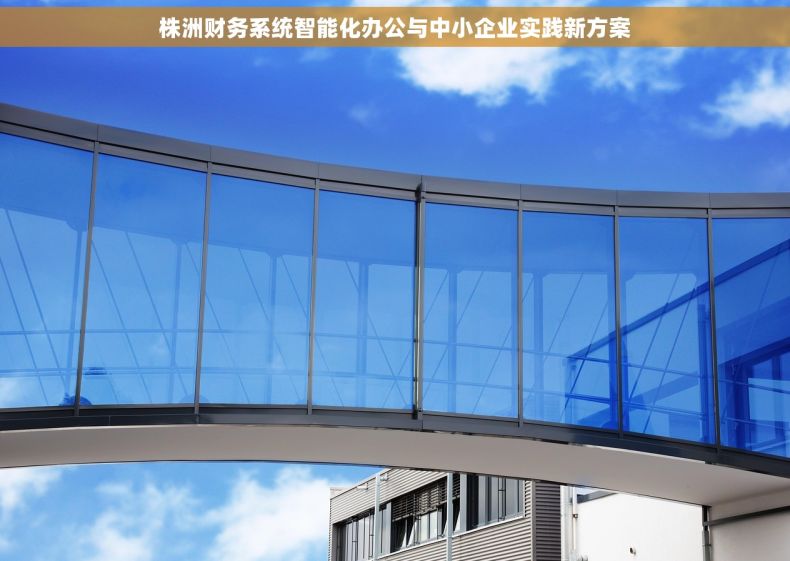 株洲财务系统智能化办公与中小企业实践新方案