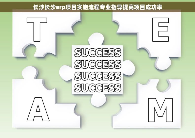 长沙长沙erp项目实施流程专业指导提高项目成功率
