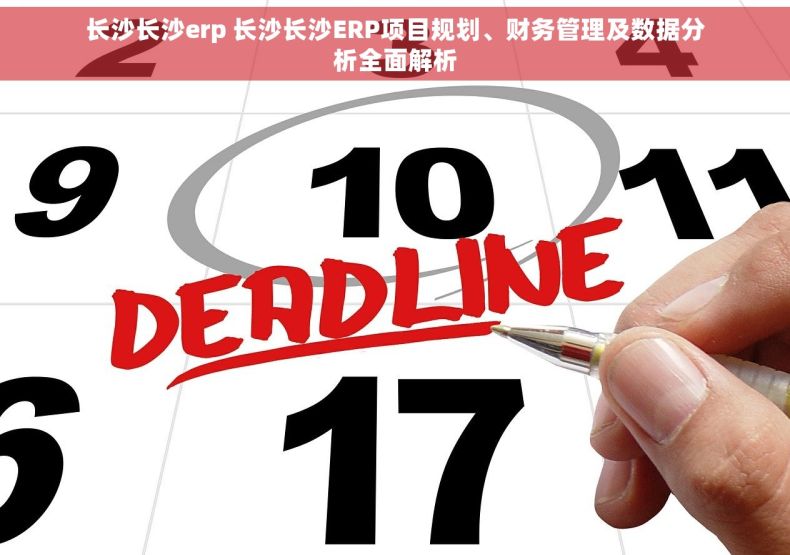 长沙长沙erp 长沙长沙ERP项目规划、财务管理及数据分析全面解析