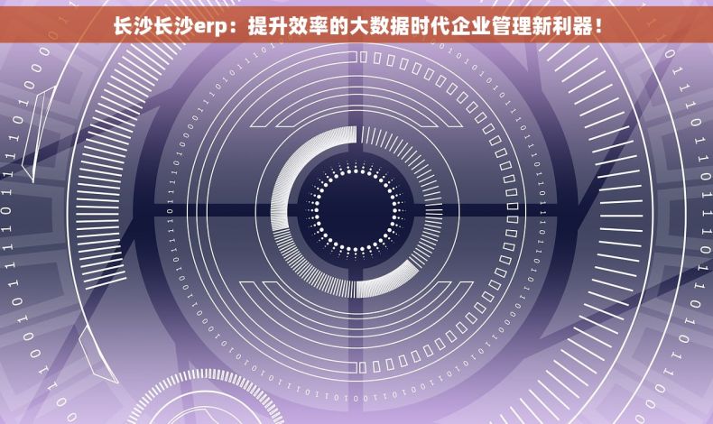 长沙长沙erp：提升效率的大数据时代企业管理新利器！