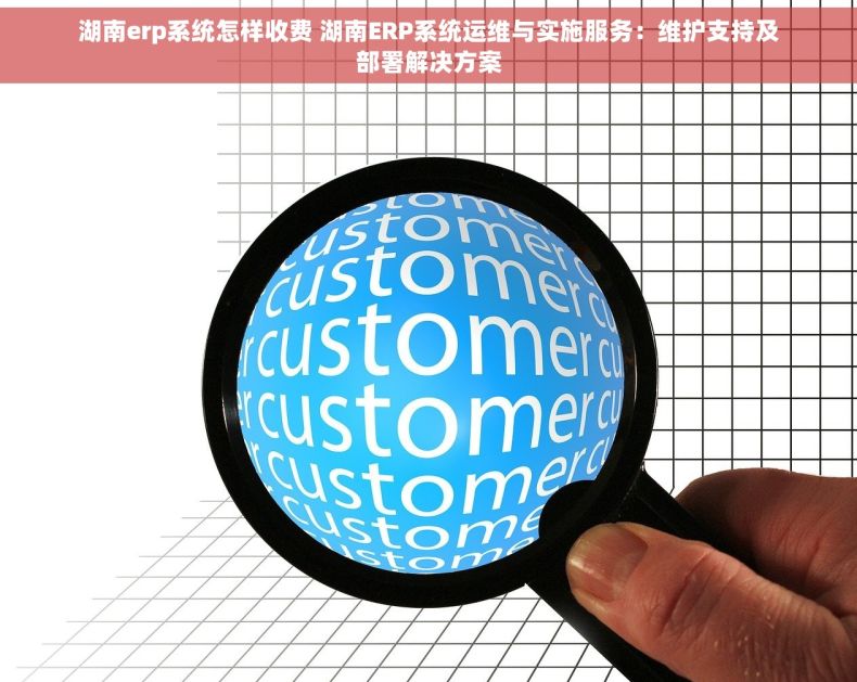 湖南erp系统怎样收费 湖南ERP系统运维与实施服务：维护支持及部署解决方案