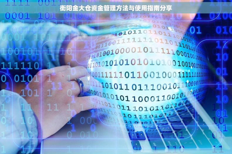 衡阳金大仓资金管理方法与使用指南分享