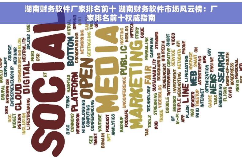 湖南财务软件厂家排名前十 湖南财务软件市场风云榜：厂家排名前十权威指南