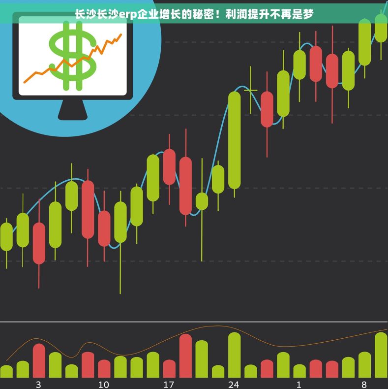 长沙长沙erp企业增长的秘密！利润提升不再是梦