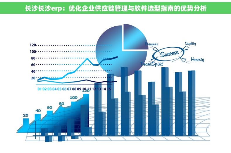 长沙长沙erp：优化企业供应链管理与软件选型指南的优势分析