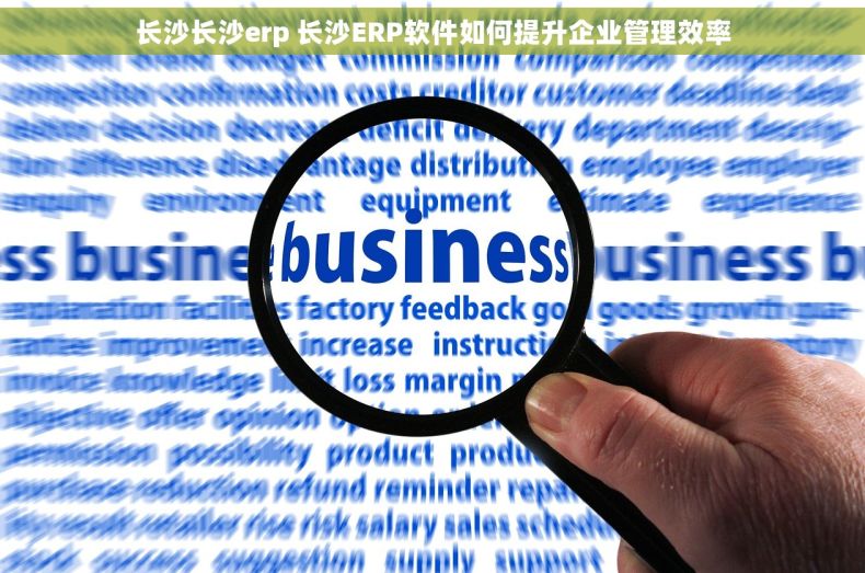 长沙长沙erp 长沙ERP软件如何提升企业管理效率