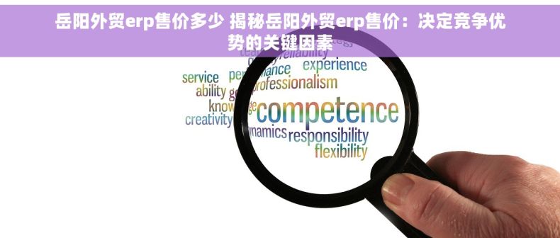 岳阳外贸erp售价多少 揭秘岳阳外贸erp售价：决定竞争优势的关键因素