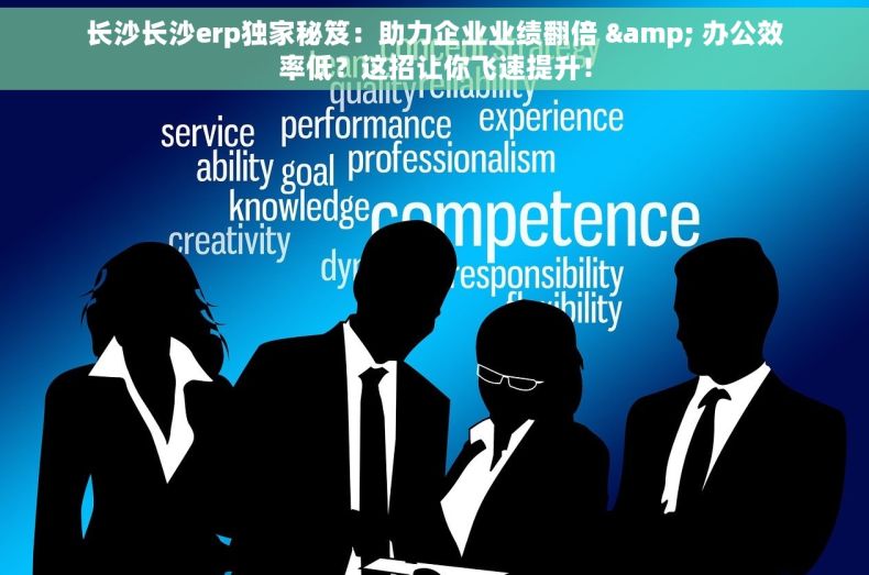 长沙长沙erp独家秘笈：助力企业业绩翻倍 & 办公效率低？这招让你飞速提升！