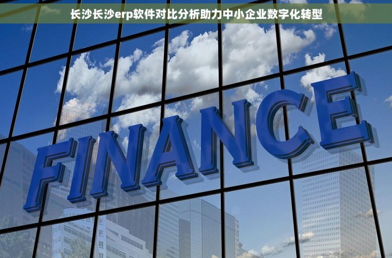 长沙长沙erp软件对比分析助力中小企业数字化转型