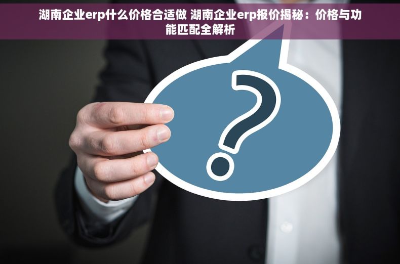 湖南企业erp什么价格合适做 湖南企业erp报价揭秘：价格与功能匹配全解析