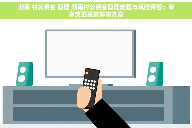 湖南 村公资金 管理 湖南村公资金管理难题与风险预警：专家支招高效解决方案
