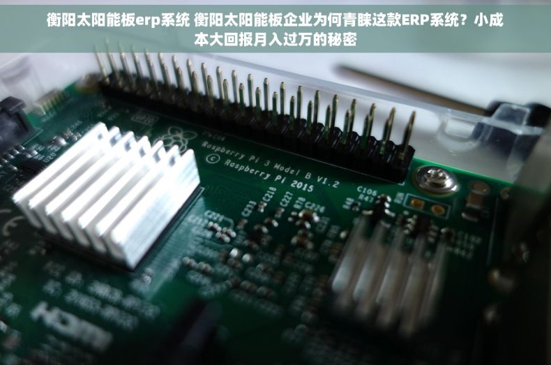 衡阳太阳能板erp系统 衡阳太阳能板企业为何青睐这款ERP系统？小成本大回报月入过万的秘密