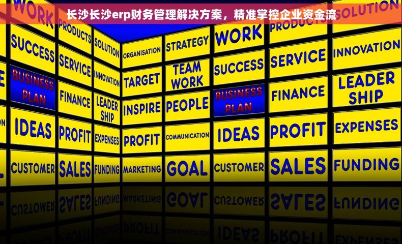 长沙长沙erp财务管理解决方案，精准掌控企业资金流