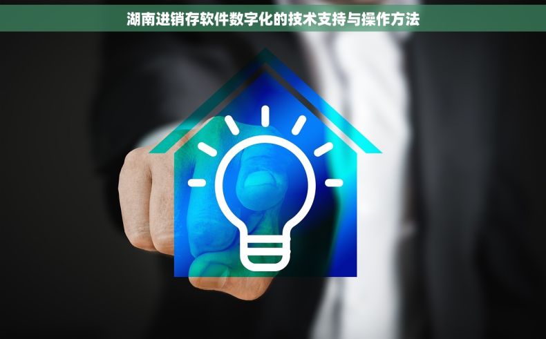 湖南进销存软件数字化的技术支持与操作方法