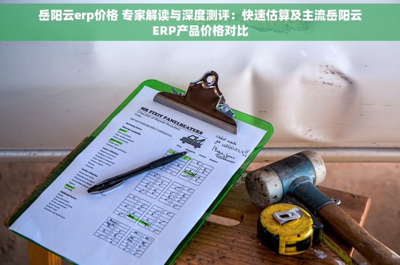 岳阳云erp价格 专家解读与深度测评：快速估算及主流岳阳云ERP产品价格对比