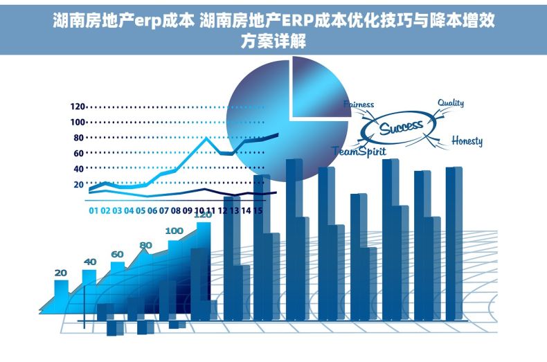 湖南房地产erp成本 湖南房地产ERP成本优化技巧与降本增效方案详解