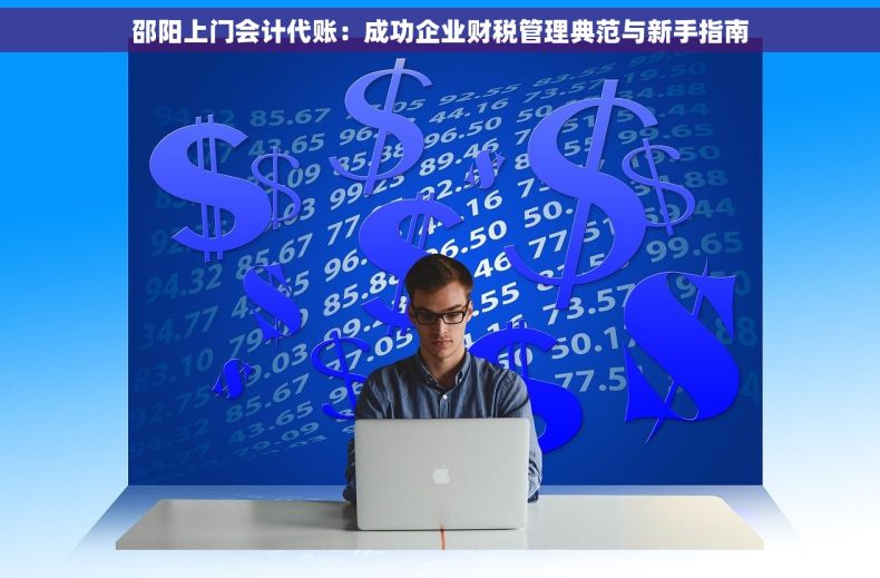 邵阳上门会计代账：成功企业财税管理典范与新手指南