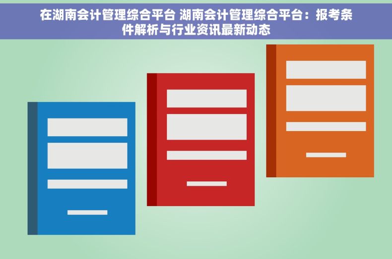 在湖南会计管理综合平台 湖南会计管理综合平台：报考条件解析与行业资讯最新动态