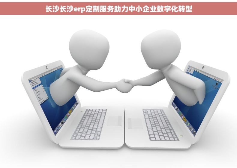 长沙长沙erp定制服务助力中小企业数字化转型