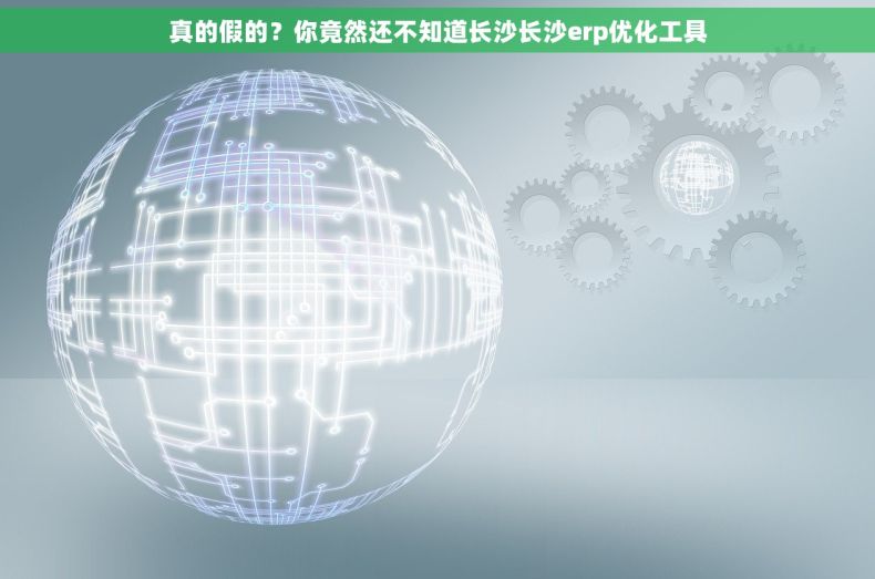 真的假的？你竟然还不知道长沙长沙erp优化工具