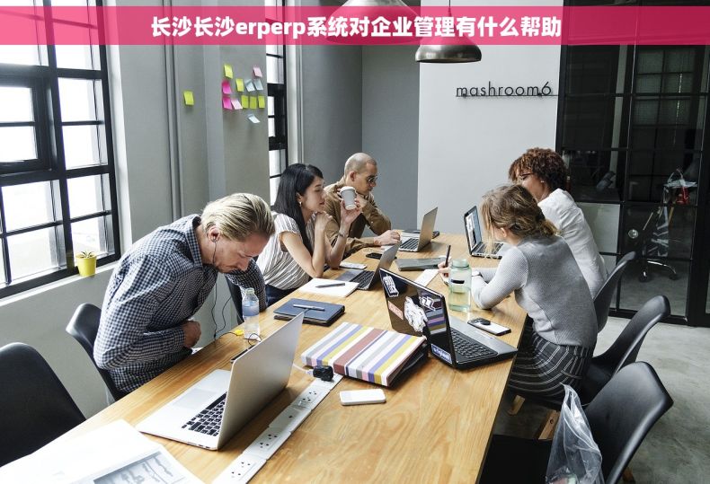 长沙长沙erperp系统对企业管理有什么帮助