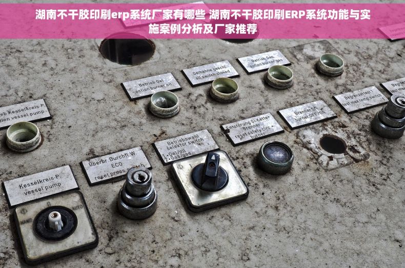 湖南不干胶印刷erp系统厂家有哪些 湖南不干胶印刷ERP系统功能与实施案例分析及厂家推荐