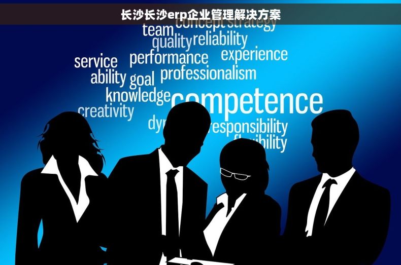 长沙长沙erp企业管理解决方案