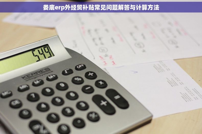 娄底erp外经贸补贴常见问题解答与计算方法