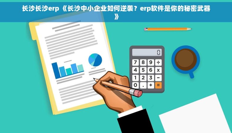 长沙长沙erp 《长沙中小企业如何逆袭？erp软件是你的秘密武器》