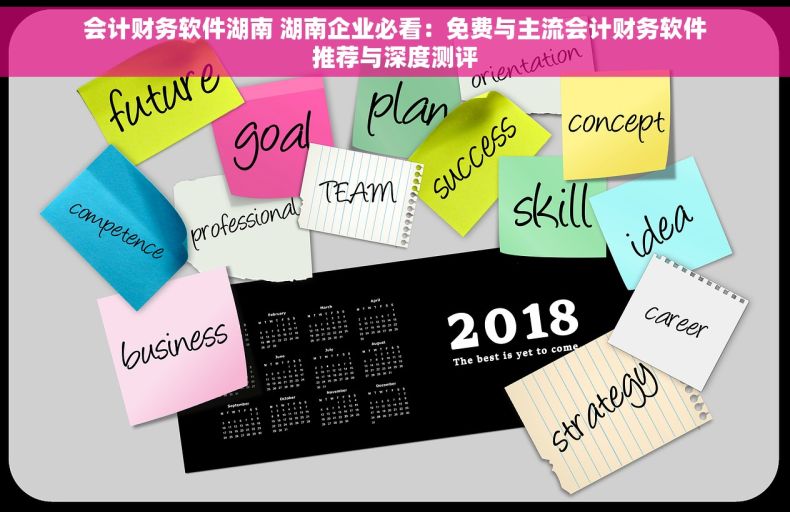 会计财务软件湖南 湖南企业必看：免费与主流会计财务软件推荐与深度测评