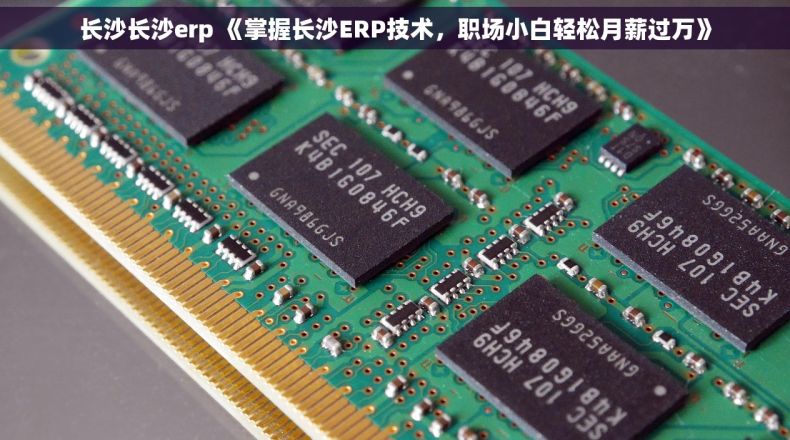 长沙长沙erp 《掌握长沙ERP技术，职场小白轻松月薪过万》